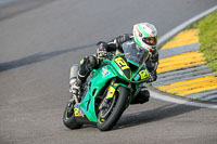 PJ-Motorsport-2019;anglesey-no-limits-trackday;anglesey-photographs;anglesey-trackday-photographs;enduro-digital-images;event-digital-images;eventdigitalimages;no-limits-trackdays;peter-wileman-photography;racing-digital-images;trac-mon;trackday-digital-images;trackday-photos;ty-croes